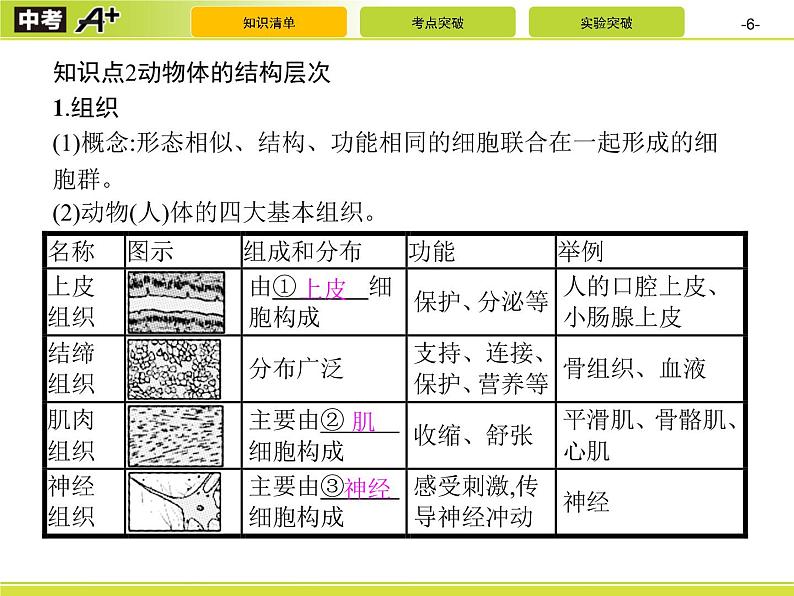 初中生物中考复习 第2讲　细胞怎样构成生物体课件PPT第6页