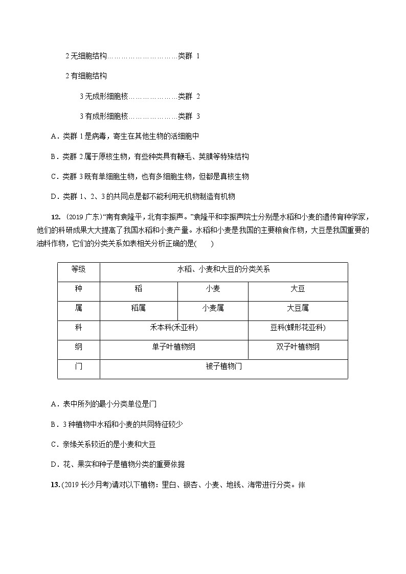 初中生物中考复习 第六单元 生物的多样性及其保护第3页