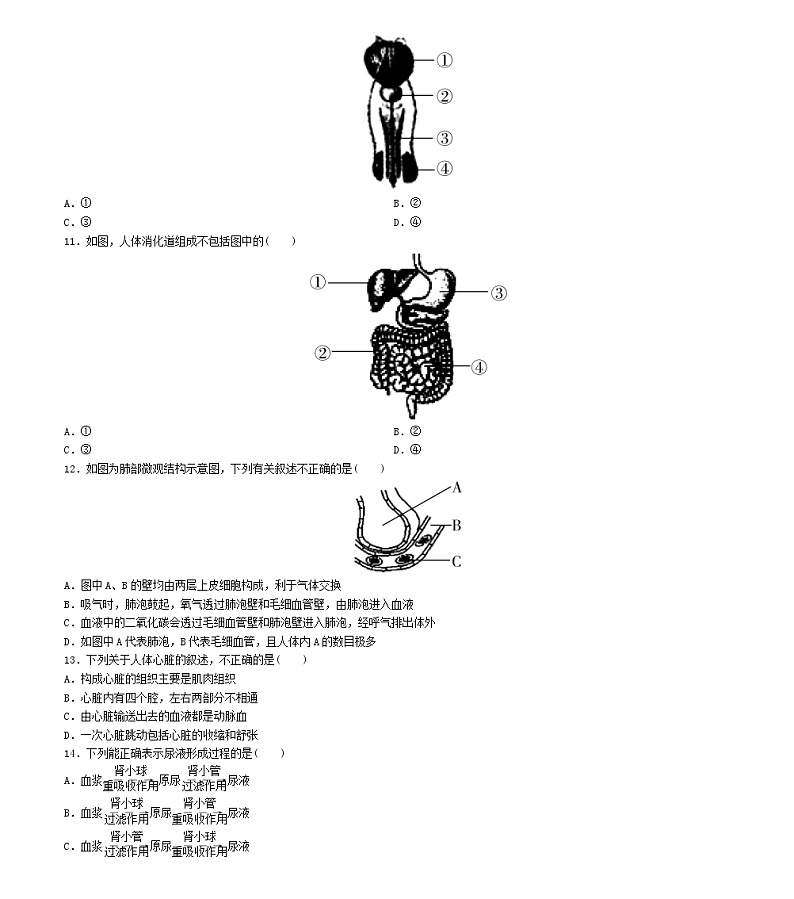 初中生物中考复习 广东省2019年初中生物毕业生学业水平考试模拟试题二03