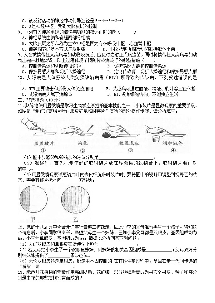 初中生物中考复习 湖北省黄石市四棵中学2019中考生物模拟卷第2页