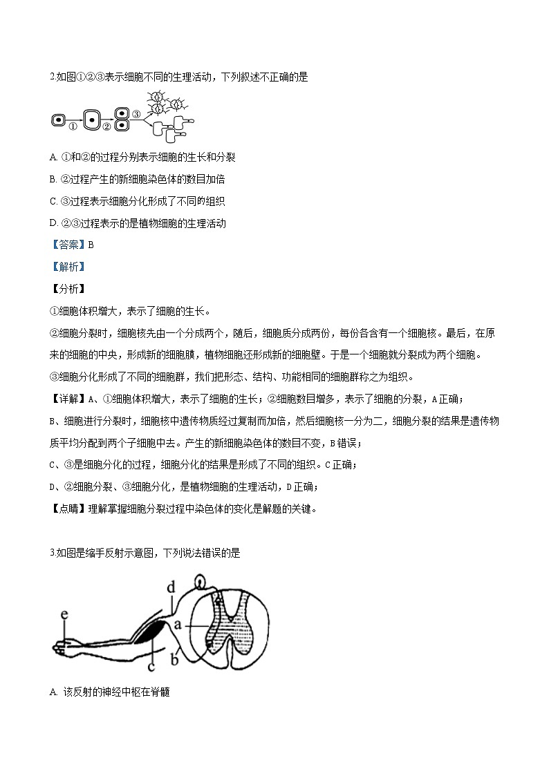 初中生物中考复习 精品解析：2018年北京市通州区一模生物试题（解析版）02