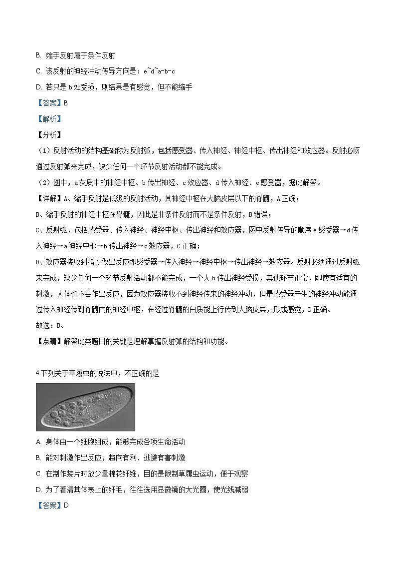 初中生物中考复习 精品解析：2018年北京市通州区一模生物试题（解析版）03