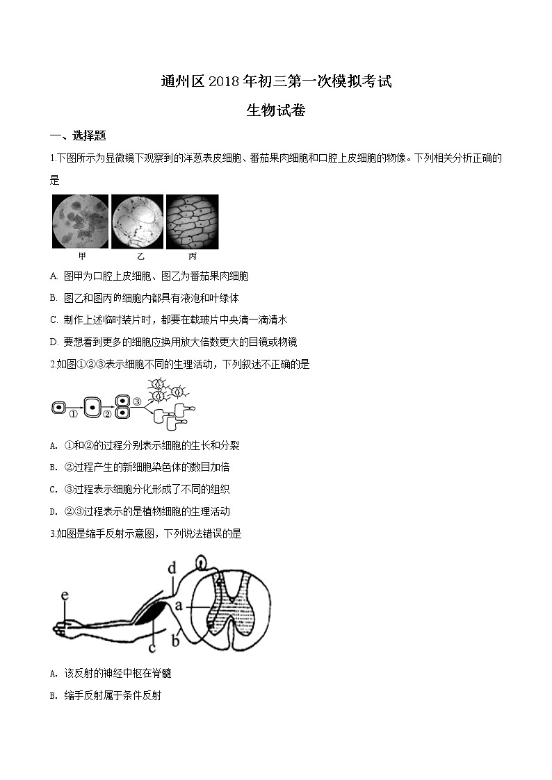 初中生物中考复习 精品解析：2018年北京市通州区一模生物试题（原卷版）第1页