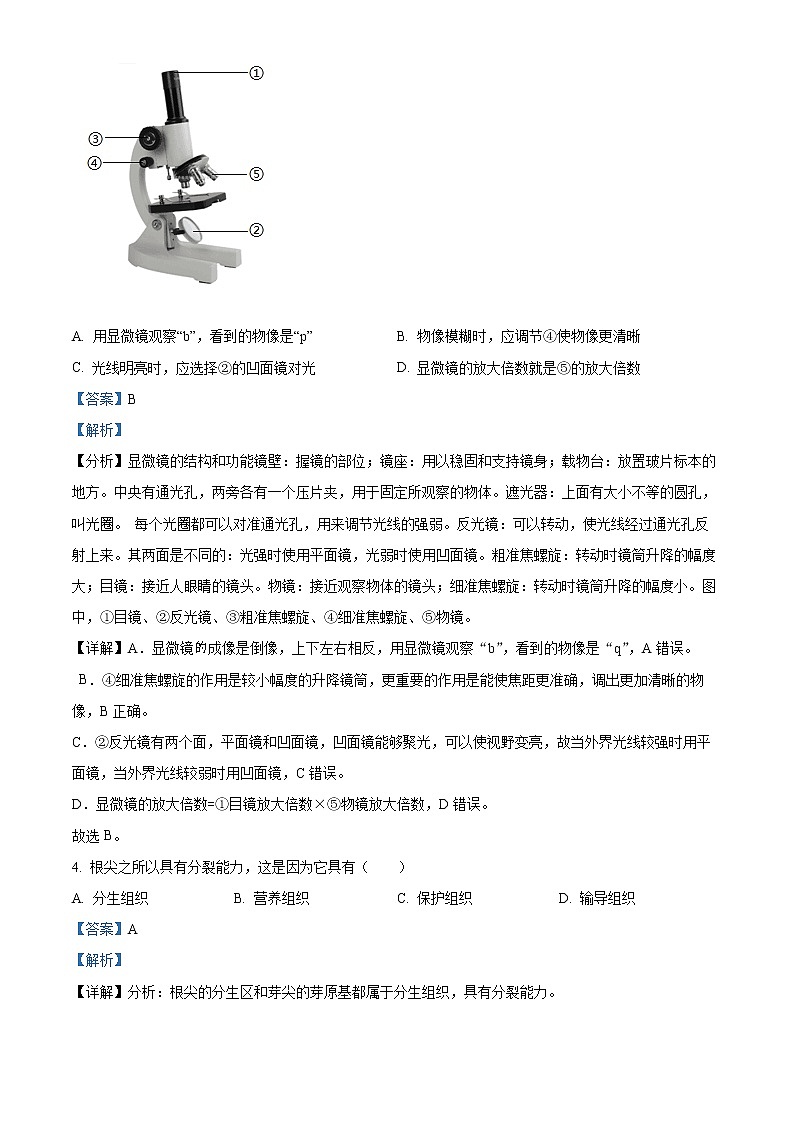初中生物中考复习 精品解析：2022年河南省中考生物真题（解析版）02