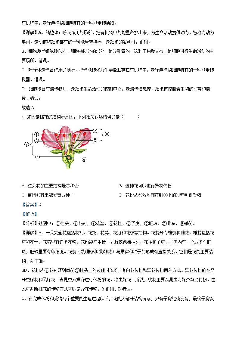 初中生物中考复习 精品解析：2022年湖南省邵阳市中考生物真题（解析版）第2页