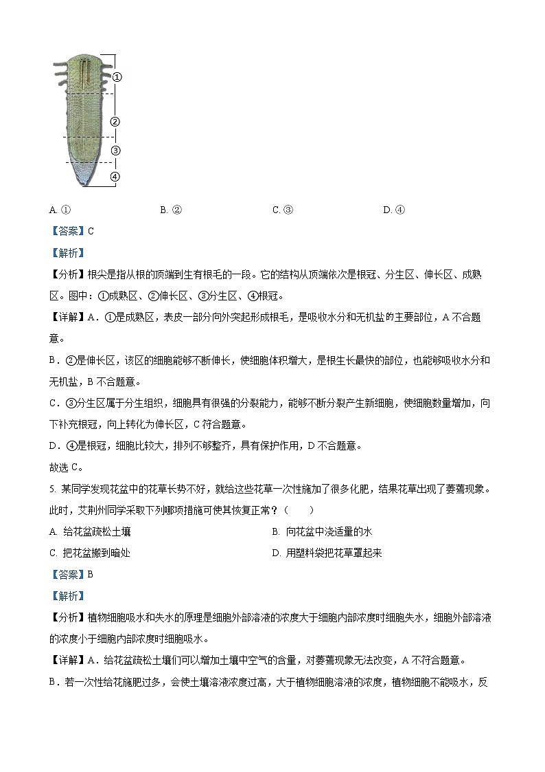 初中生物中考复习 精品解析：2022年湖北省荆州市中考生物真题（解析版）第3页