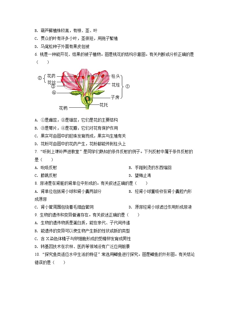 初中生物中考复习 精品解析：2022年江苏省连云港市中考生物真题（原卷版）02