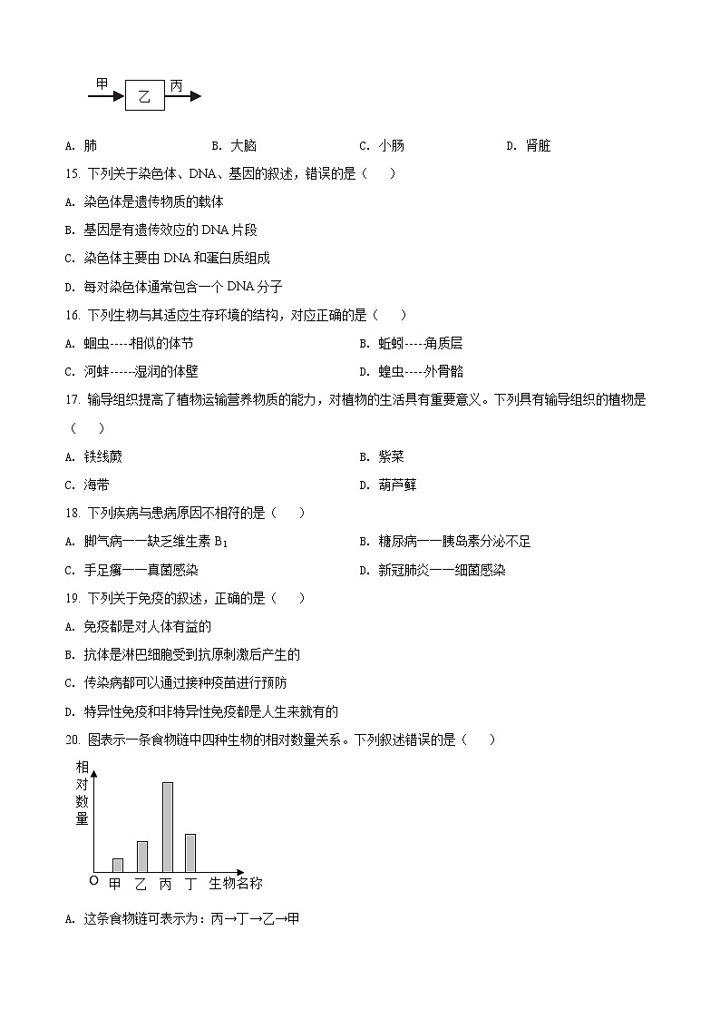 初中生物中考复习 精品解析：2022年江西省中考生物真题（原卷版）第3页