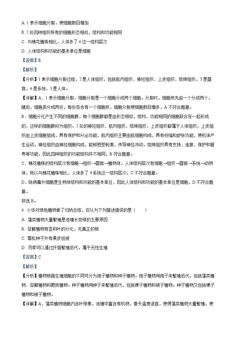 初中生物中考复习 精品解析：2022年山东省菏泽市中考生物真题（解析版）03