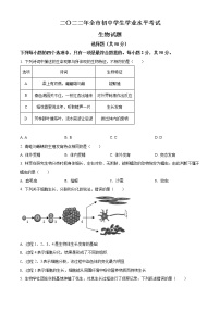 初中生物中考复习 精品解析：2022年山东省聊城市中考生物真题（原卷版）