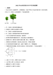 初中生物中考复习 精品解析：2022年山东省泰安市中考生物真题（原卷版）