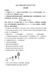 初中生物中考复习 精品解析：2022年山东省潍坊市中考生物真题（原卷版）