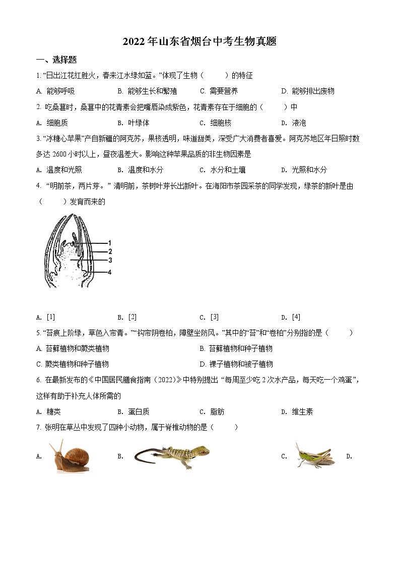 初中生物中考复习 精品解析：2022年山东省烟台中考生物真题（原卷版）01