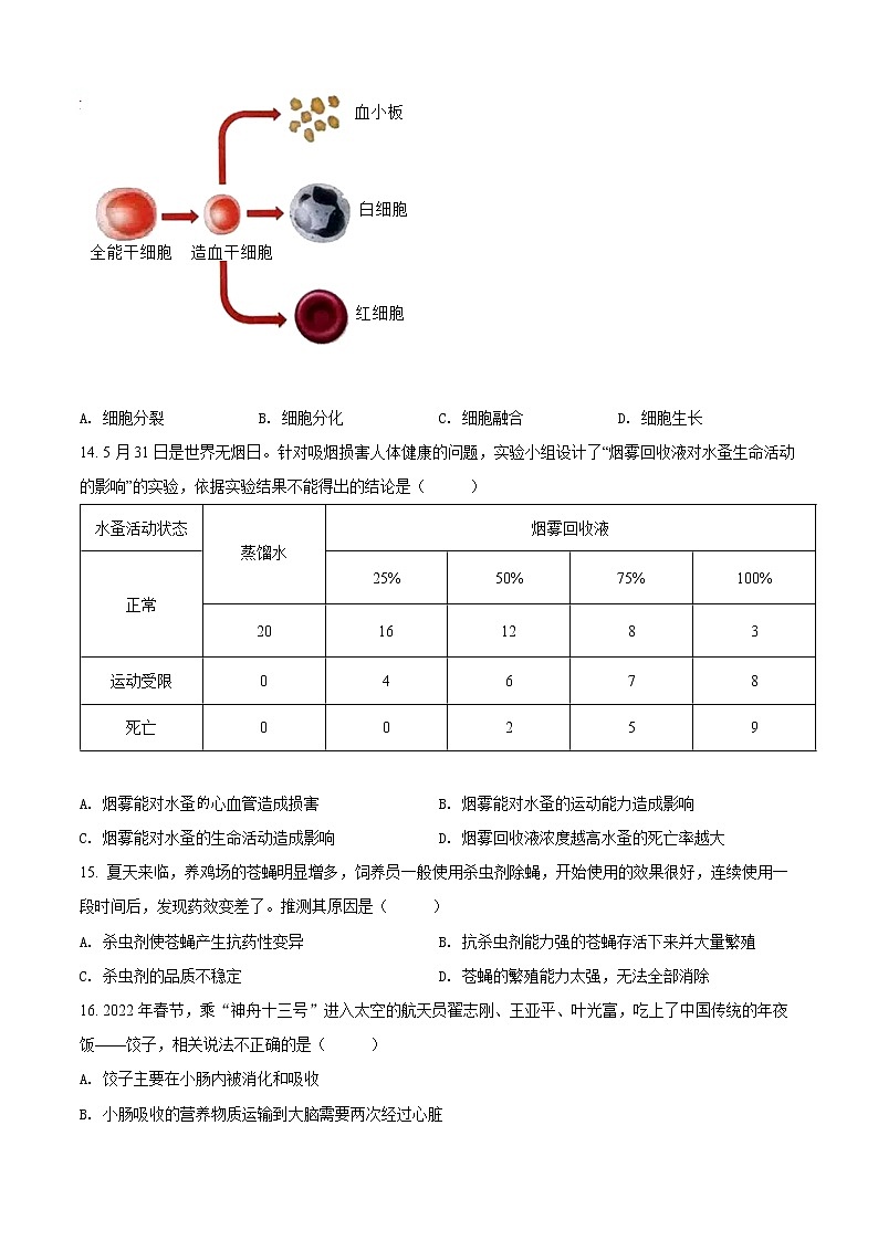 初中生物中考复习 精品解析：2022年山东省烟台中考生物真题（原卷版）03