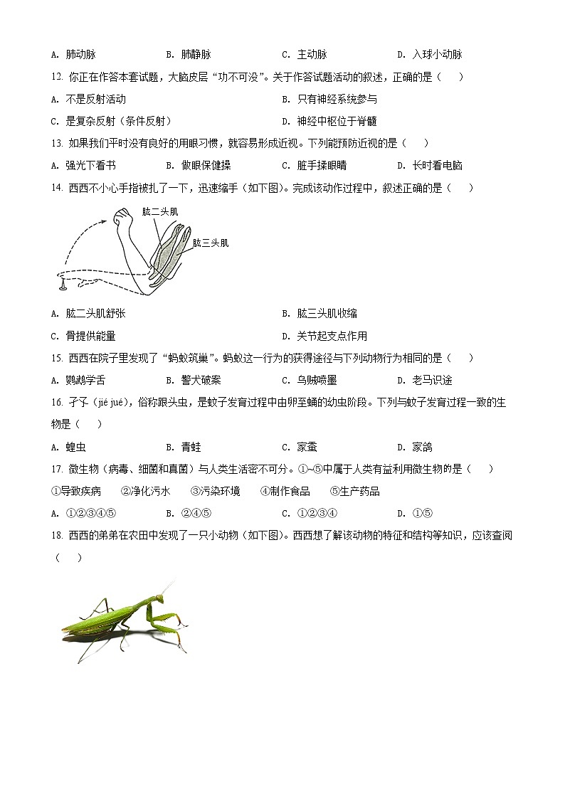 初中生物中考复习 精品解析：2022年陕西省中考生物真题（A卷）（原卷版）第3页