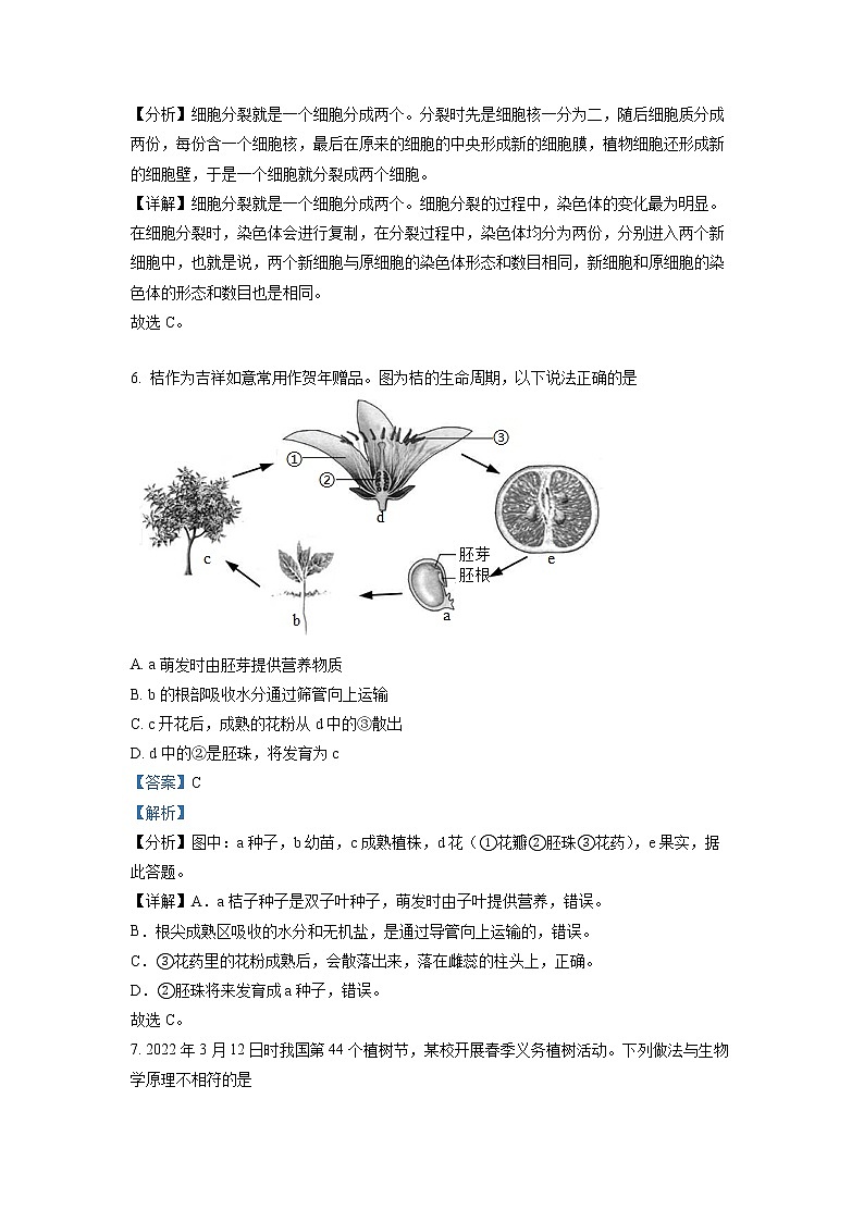 初中生物中考复习 精品解析：2022年四川省德阳市中考生物真题（解析版）03