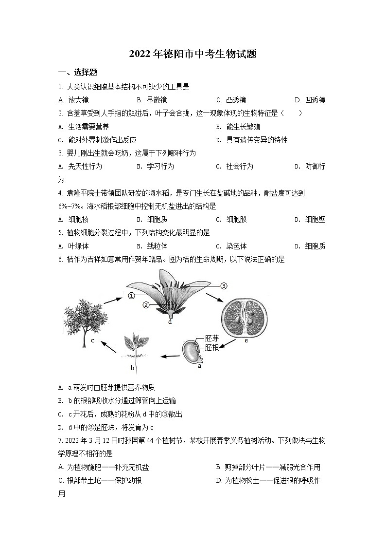 初中生物中考复习 精品解析：2022年四川省德阳市中考生物真题（原卷版）01