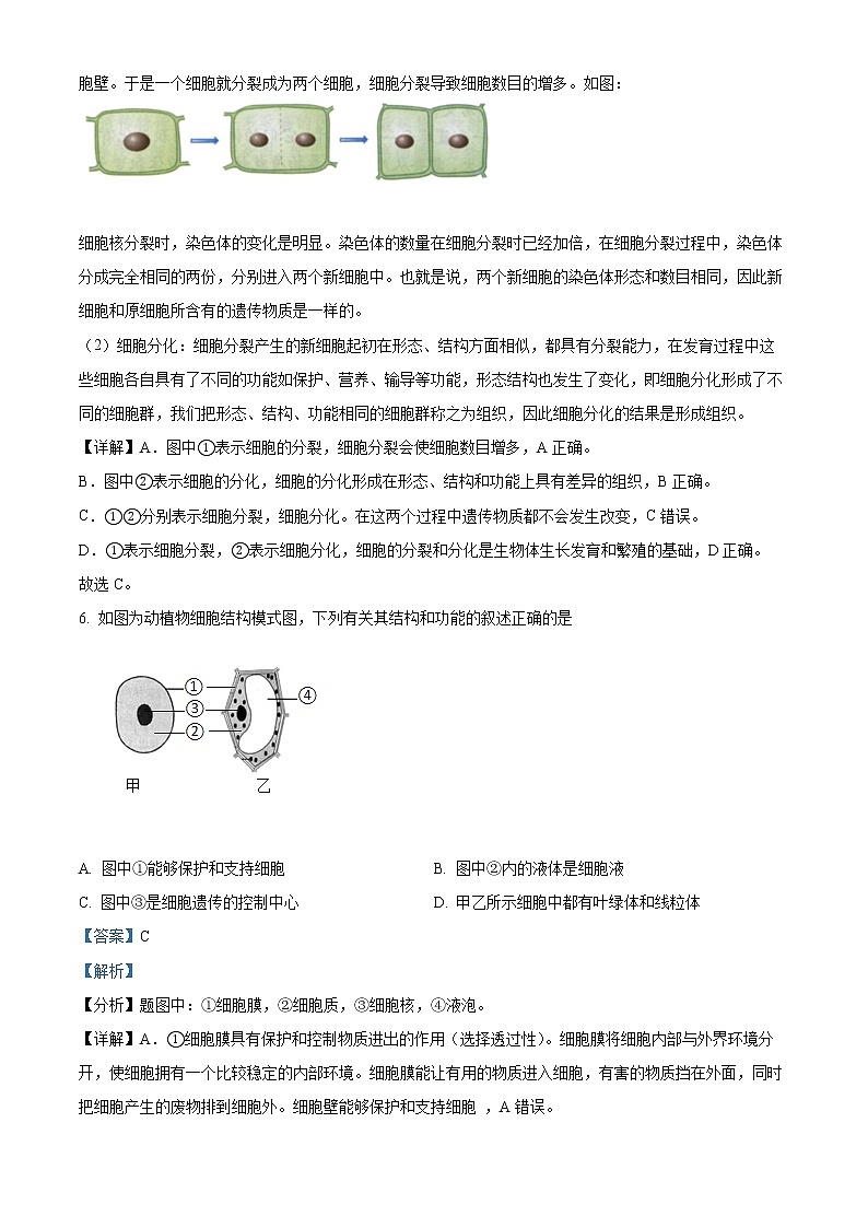 初中生物中考复习 精品解析：2022年四川省广安市中考生物真题（解析版）第3页