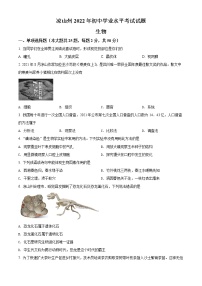 初中生物中考复习 精品解析：2022年四川省凉山州中考生物真题（原卷版）