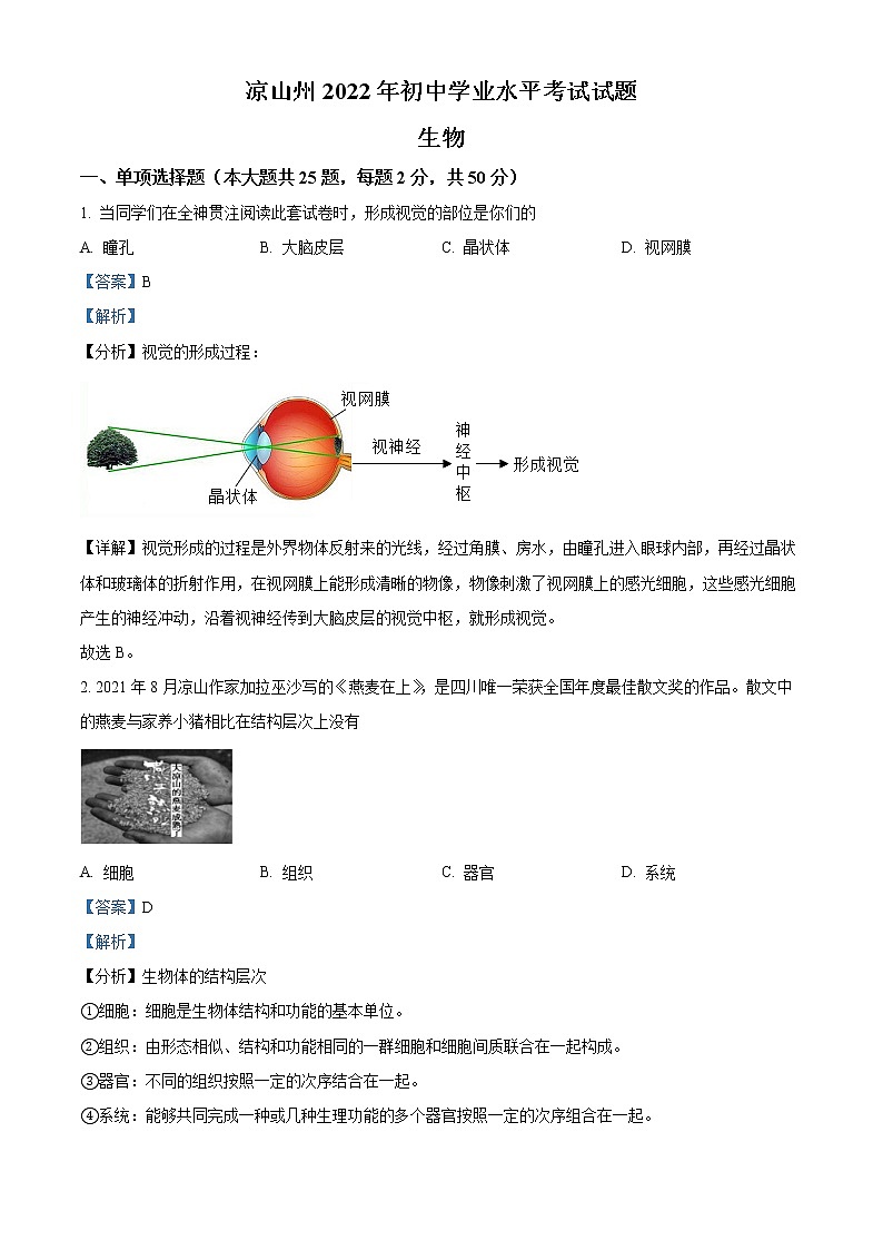 初中生物中考复习 精品解析：2022年四川省凉山州中考生物真题（解析版）第1页