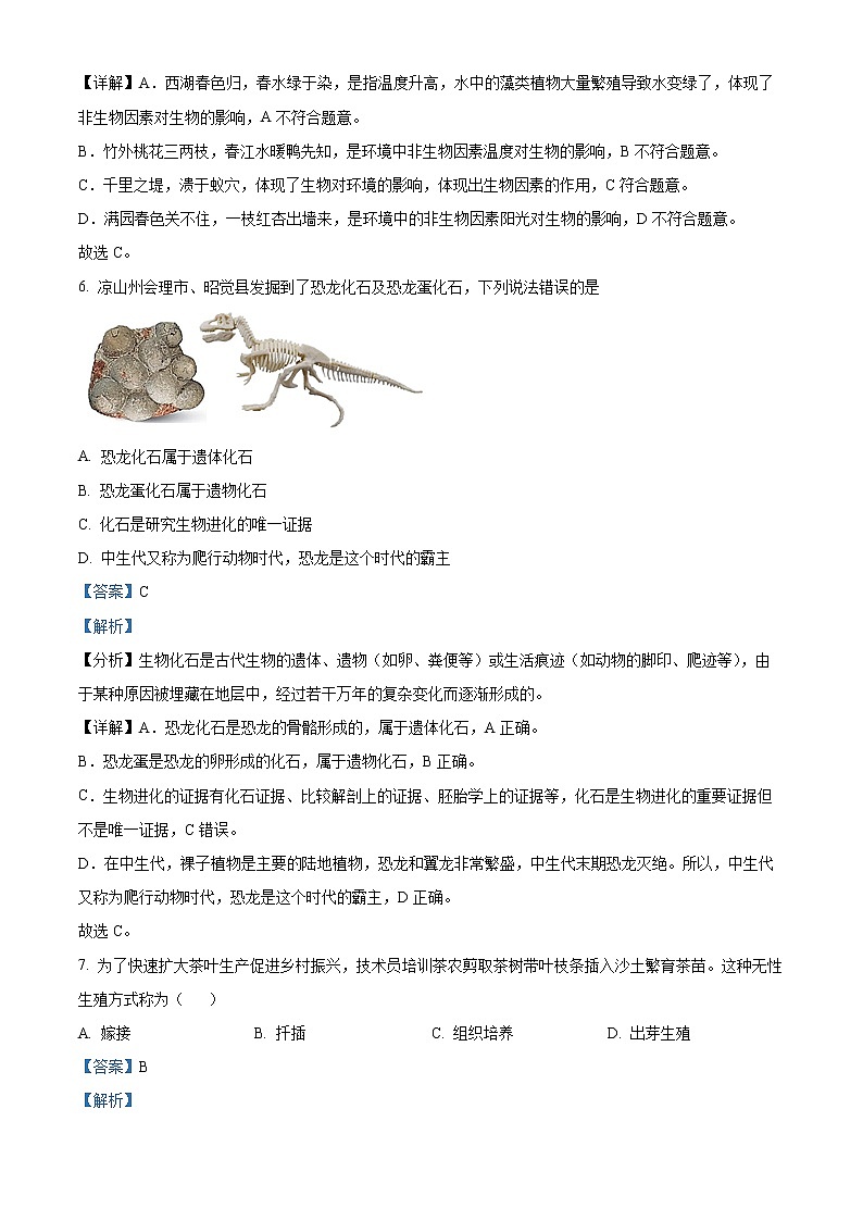 初中生物中考复习 精品解析：2022年四川省凉山州中考生物真题（解析版）第3页