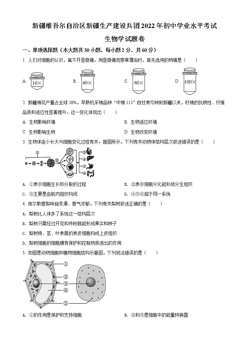 初中生物中考复习 精品解析：2022年新疆维吾尔自治区新疆生产建设兵团中考生物真题（原卷版）第1页