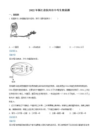 初中生物中考复习 精品解析：2022年浙江省杭州市中考生物真题（解析版）