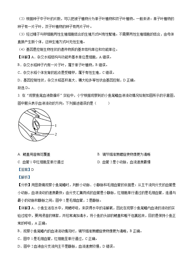 初中生物中考复习 精品解析：2022年浙江省宁波市中考生物真题（解析版）02