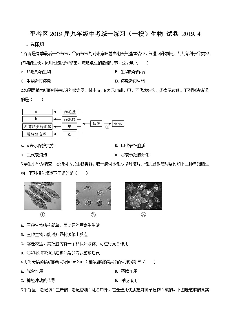 初中生物中考复习 精品解析：北京市平谷区2019届九年级4月统一练习（一模）生物试题（原卷版）01