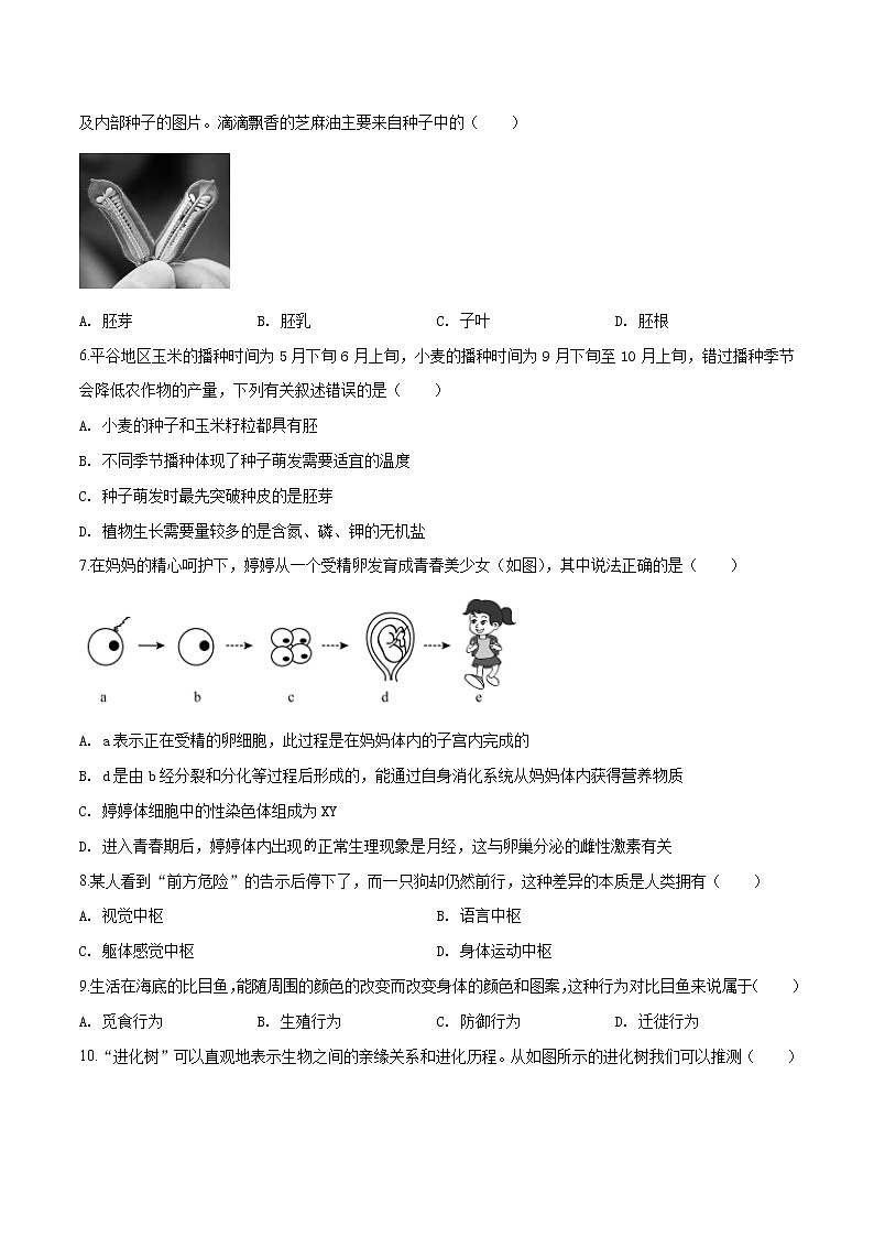 初中生物中考复习 精品解析：北京市平谷区2019届九年级4月统一练习（一模）生物试题（原卷版）02