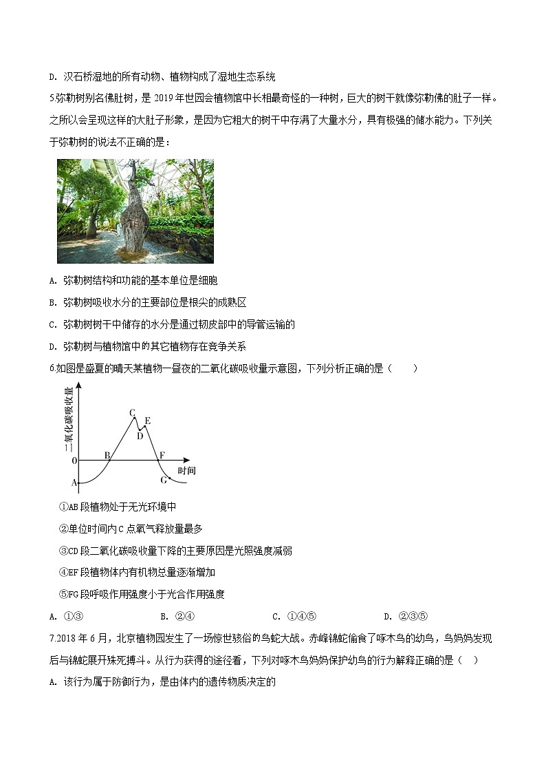 初中生物中考复习 精品解析：北京市顺义区2019届九年级二模生物试题（原卷版）02