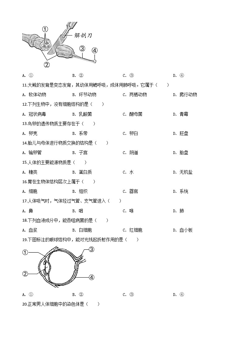 初中生物中考复习 精品解析：福建省2020年中考生物试题（原卷版）02