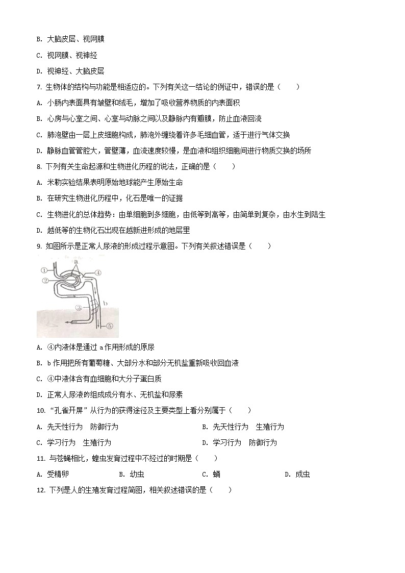 初中生物中考复习 精品解析：甘肃省兰州市2020年中考生物试题（A）（原卷版）第2页
