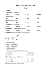 初中生物中考复习 精品解析：海南省2020年中考生物试题（原卷版）