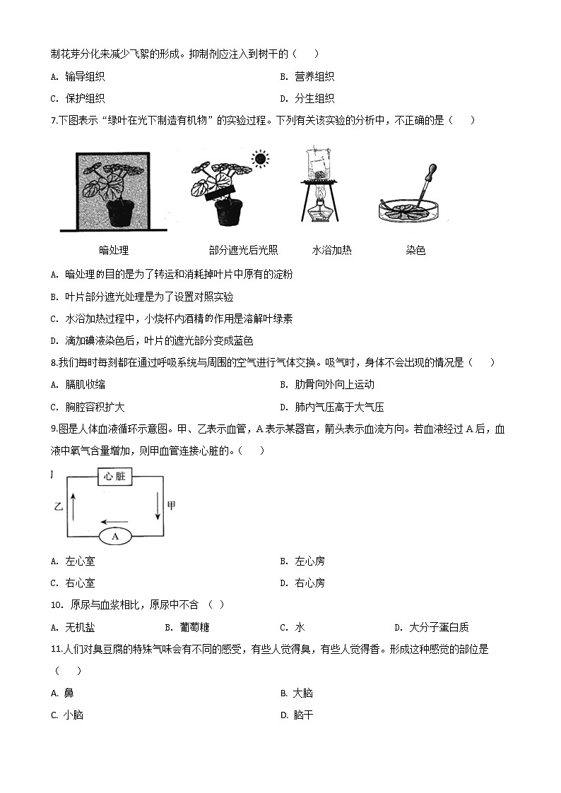 初中生物中考复习 精品解析：河南省2020年中考生物试题（原卷版）02