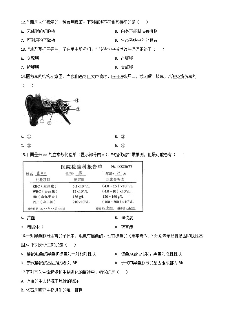 初中生物中考复习 精品解析：河南省2020年中考生物试题（原卷版）03