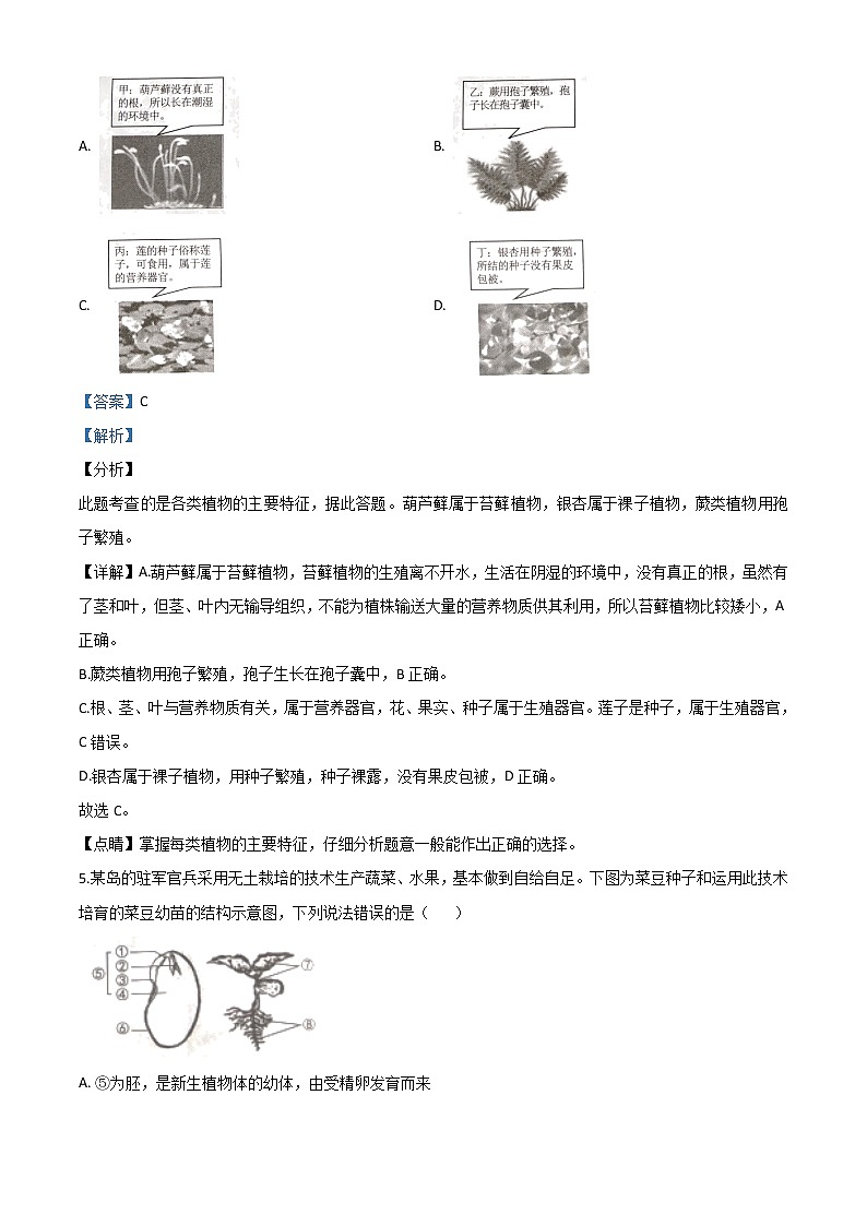 初中生物中考复习 精品解析：湖南省张家界市2020年中考生物试题（解析版）03