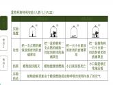 初中生物中考复习 第4讲 植物的光合作用、呼吸作用与植物在生物圈中的作用课件PPT