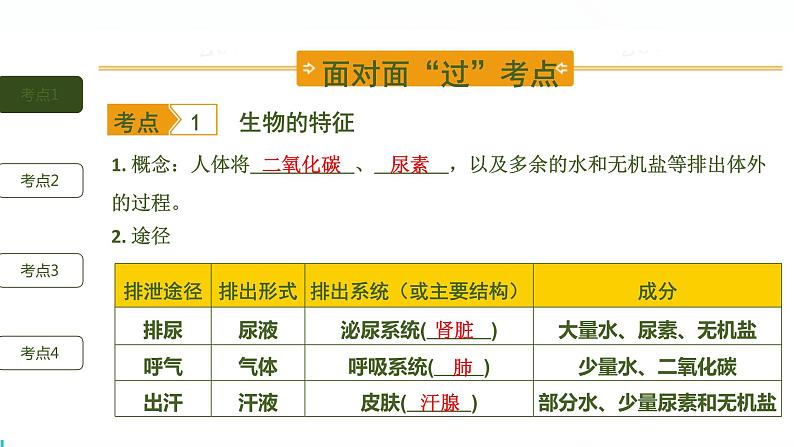 初中生物中考复习 第6讲 人体内废物的排出课件PPT第2页