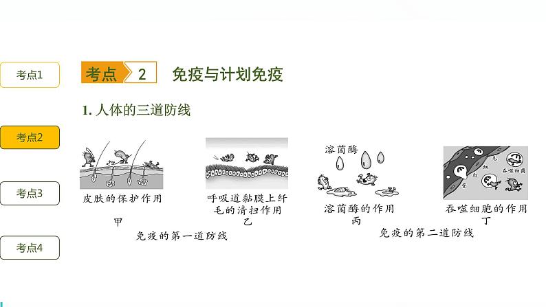 初中生物中考复习 第八单元 健康地生活课件PPT06