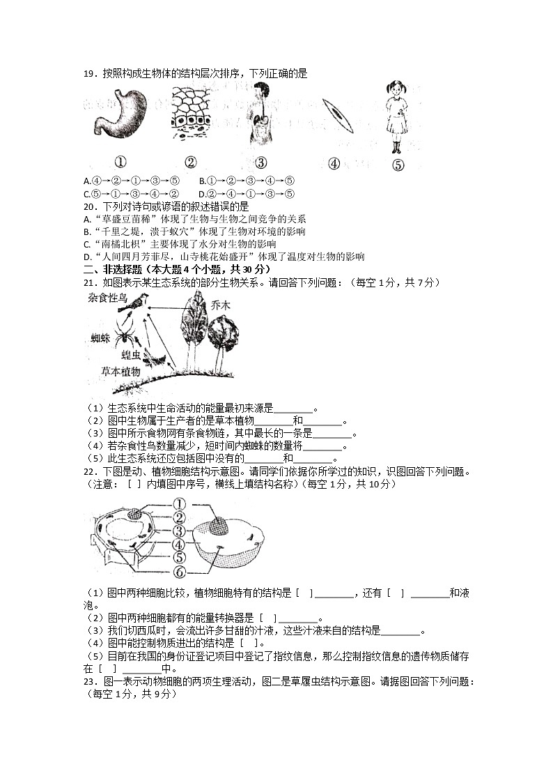 山西省临汾市襄汾县2022-2023学年七年级上学期期中生物试题03