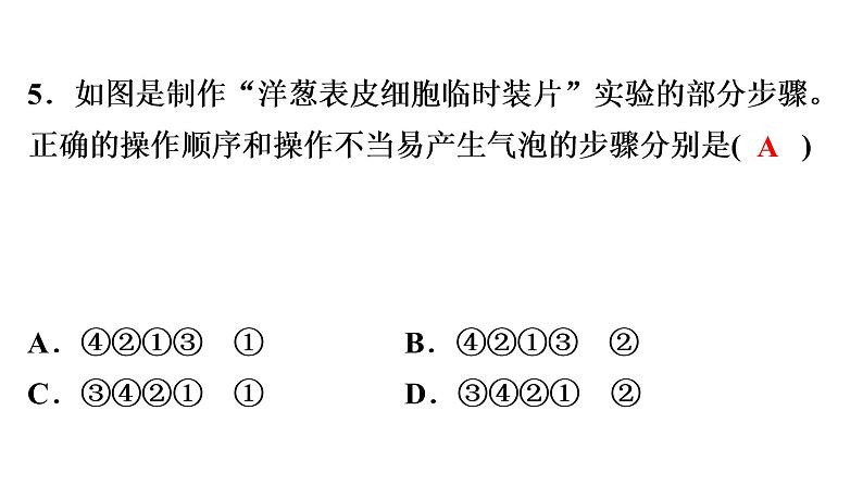 中考生物总复习初中学业水平考试生物仿真试卷(二)课件第7页