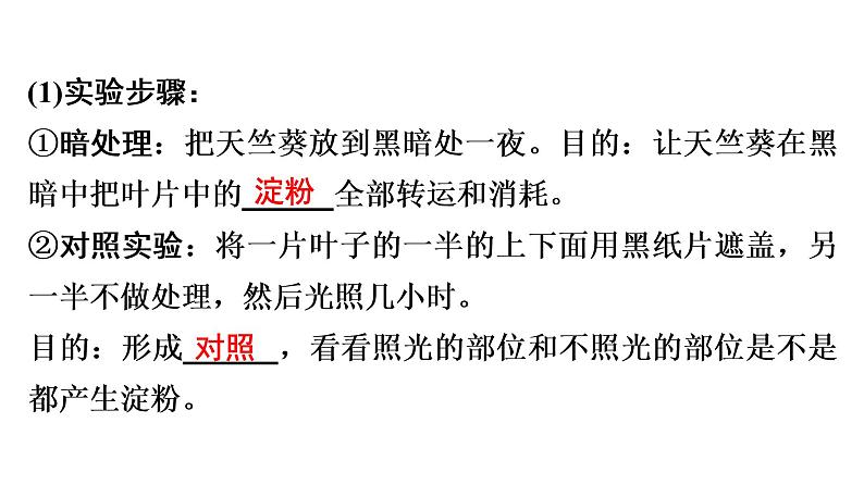 中考生物总复习第2部分　第3单元　第4章　绿色植物的光合作用课件第7页