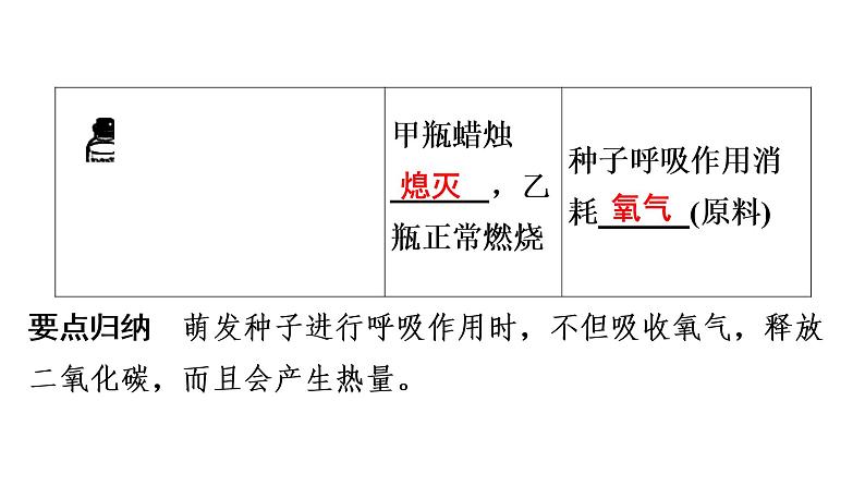 中考生物总复习第2部分　第3单元　第5、6章　绿色植物的呼吸作用　爱护植被，绿化祖国课件07