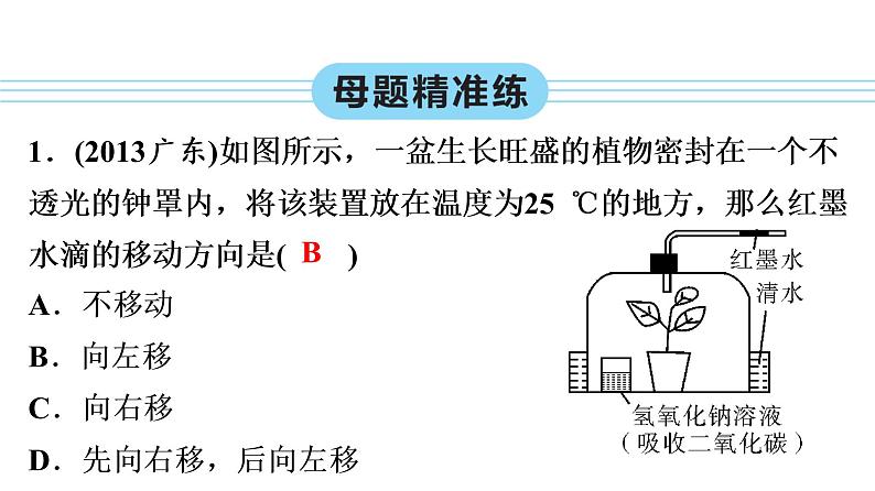 中考生物总复习第2部分　第3单元　第5、6章　绿色植物的呼吸作用　爱护植被，绿化祖国课件08