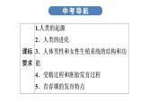 中考生物总复习第2部分　第4单元　第1章　人的由来课件