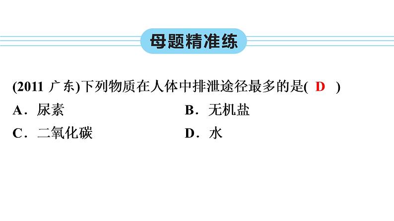 中考生物总复习第2部分　第4单元　第5章　人体内废物的排出课件08