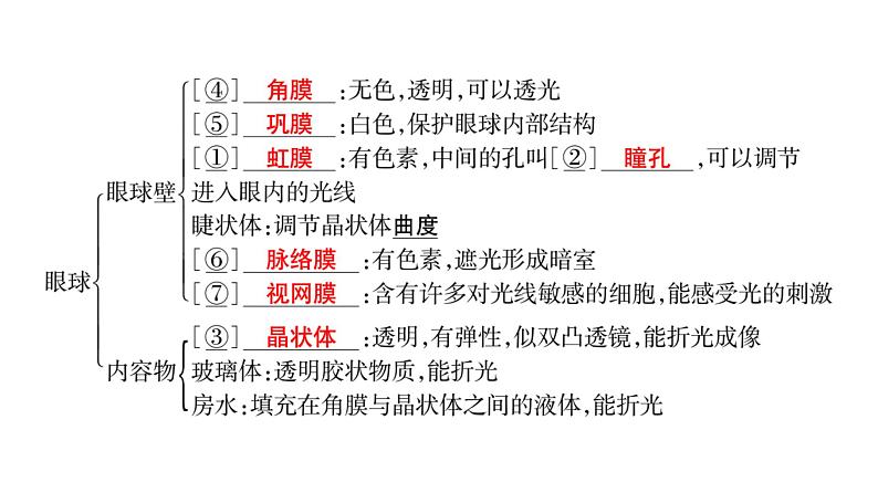 中考生物总复习第2部分　第4单元　第6、7章　人体生命活动的调节　人类活动对生物圈的影响课件第7页