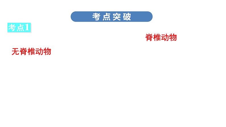 中考生物总复习第2部分　第5单元　第1章　动物的主要类群课件06