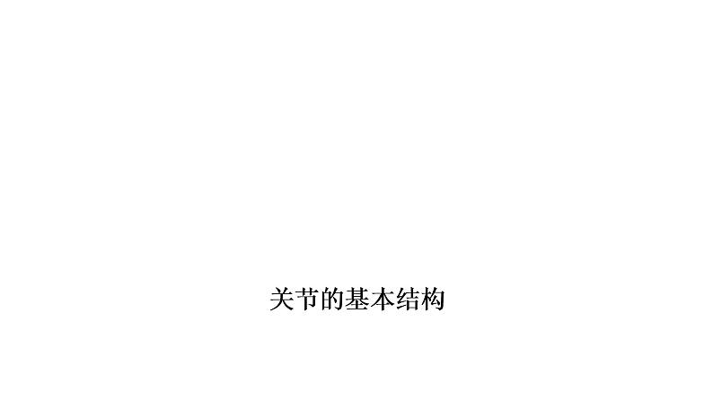 中考生物总复习第2部分　第5单元　第2、3章　动物的运动和行为　动物在生物圈中的作用课件07